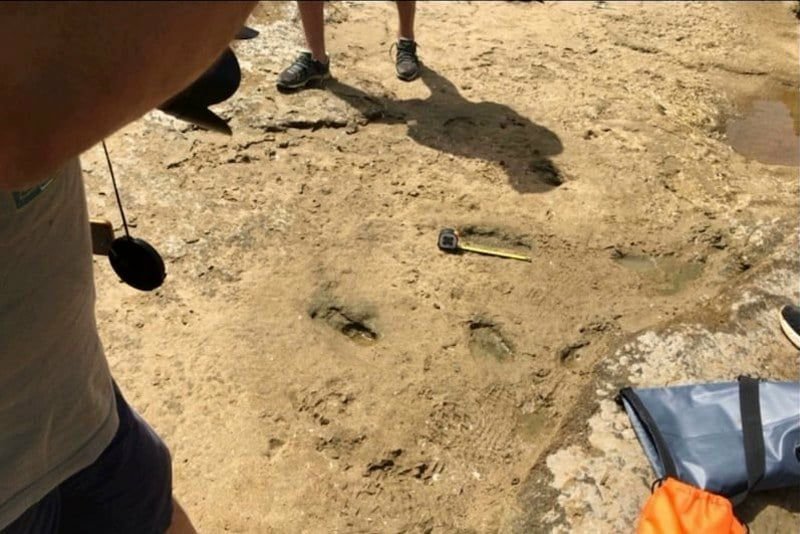 يشير الفريق المكتشف أن هذه الآثار لخمسة أشخاص منهم أطفال ومراهقين وبالغين مع آثار يرجح أنها لحيوانات وهذه الآثار عند مدينة العرائش